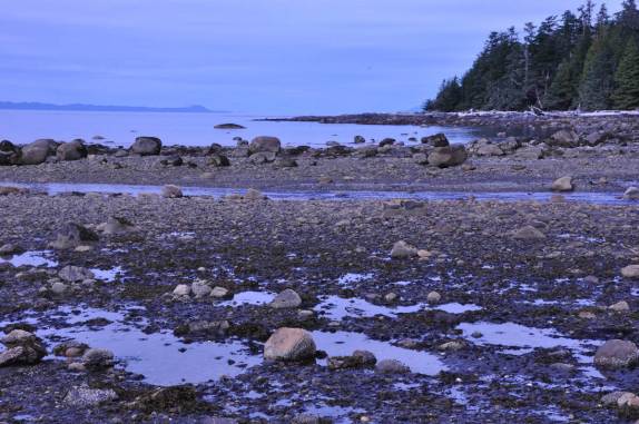 A maré começa a subir em Metlakatla, na área de Prince Rupert, na British Columbia, oeste do Canadá